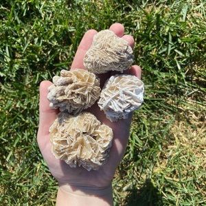 Desert rose gypsum rose selenite crystal clusters